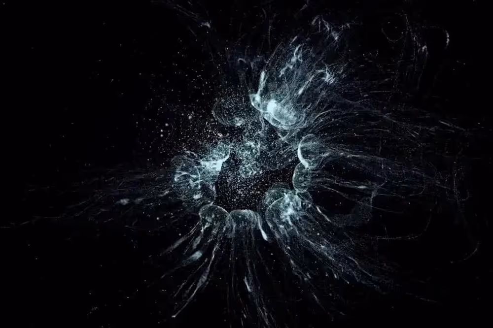 NFTurtle Power Tezos-Powered Digital Art Takes On An Important New Cause image 1