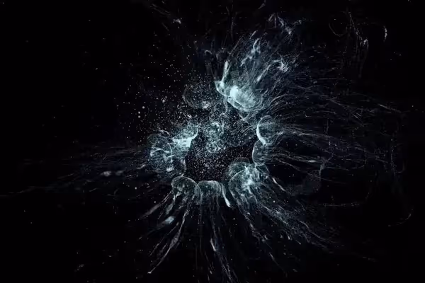 NFTurtle Power Tezos-Powered Digital Art Takes On An Important New Cause image 1