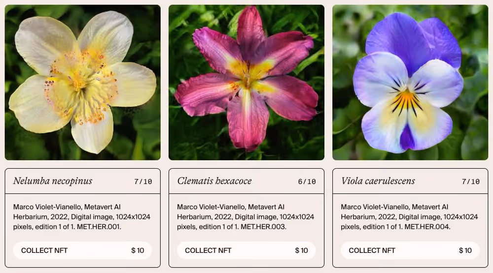 TezTalks Live # 49 - A Conversation With Digital Artist Marco Violet-Vianello, image 1