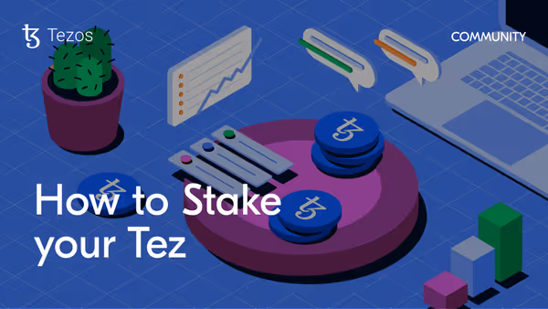 How to Stake Blog Cover